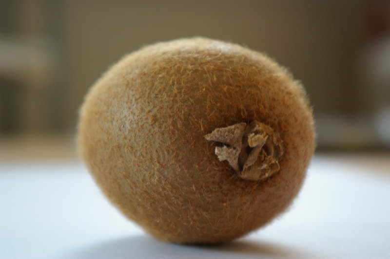 Kiwifruit-11