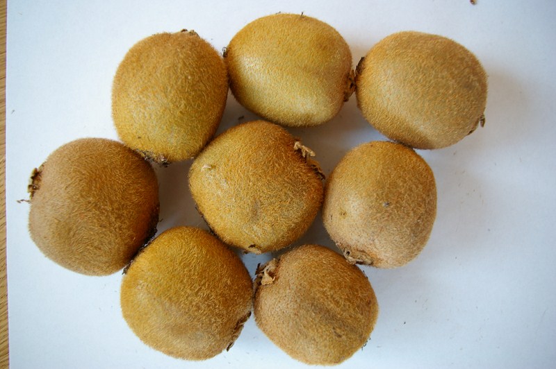 Kiwifruit-4