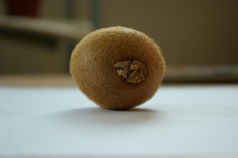 Kiwifruit-7