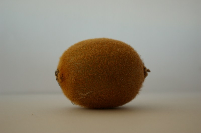 Kiwifruit-8