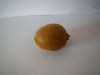 Kiwifruit-10