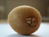 Kiwifruit-11