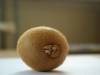 Kiwifruit-6